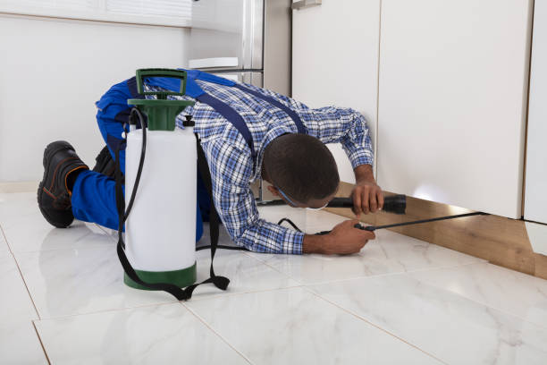 istock Worker Kneeling On Floor And Spraying Pesticide 909317216