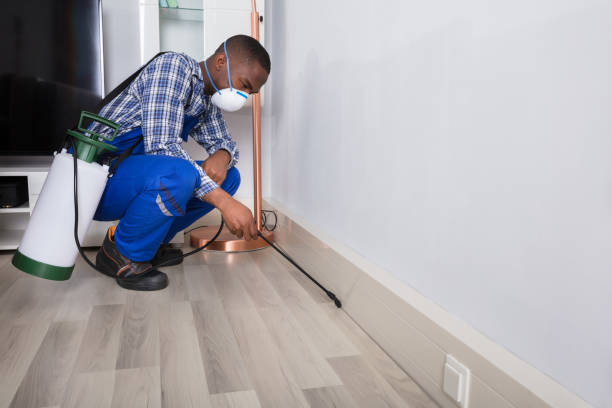 Male Worker Spraying Pesticide Young Male Worker Spraying Pesticide On Floor At Home exterminator photos stock pictures, royalty-free photos & images