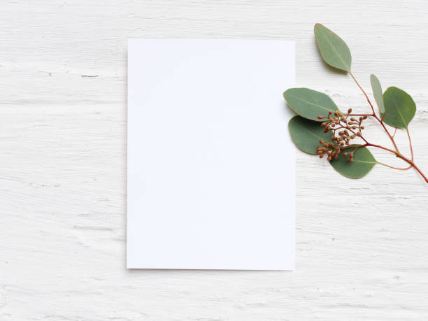 Feminine wedding desktop mock-up with blank paper card and Eucalyptus populus branch on white shabby table background. Empty space. Styled stock photo, web banner. Flat lay, top view