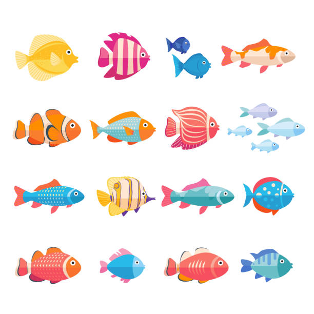 красочные аквариумные рыбы устанавливают вектор изолированным. коллекция тропических рыб - рыба stock illustrations