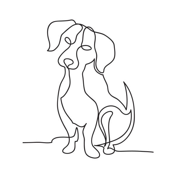 illustrazioni stock, clip art, cartoni animati e icone di tendenza di vettore di disegno a mano minimalista del cane a linea continua isolato - imitazione di animali