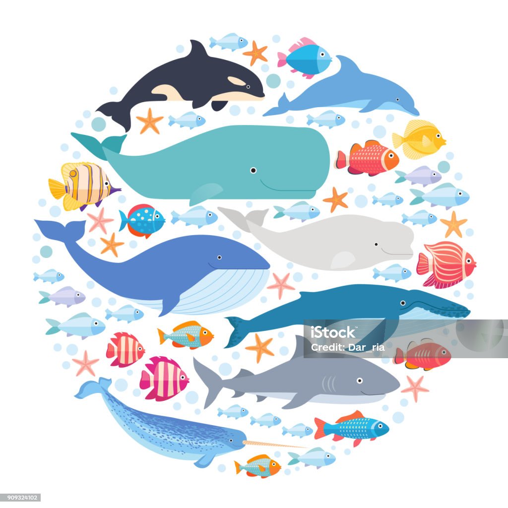Mammifères marins et poissons mis en cercle. Narval, rorqual bleu, Dauphin, béluga, rorqual à bosse, baleine boréale et cachalot vecteur isolé - clipart vectoriel de Baleine libre de droits