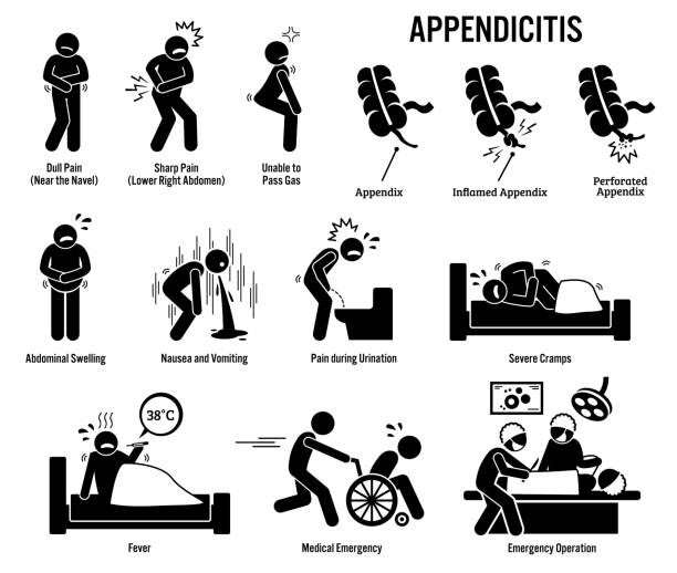 appendix und appendizitis symbole. - magen grafiken stock-grafiken, -clipart, -cartoons und -symbole