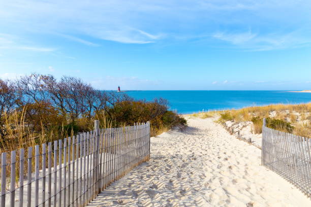 Path to the beach at Cape Henlopen in Lewes, Delaware along the Atlantic Ocean. stock photo