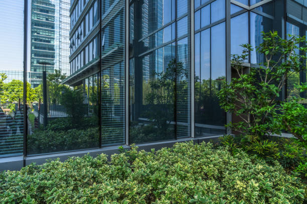 istock Details of a modern office building with a tree 909353622