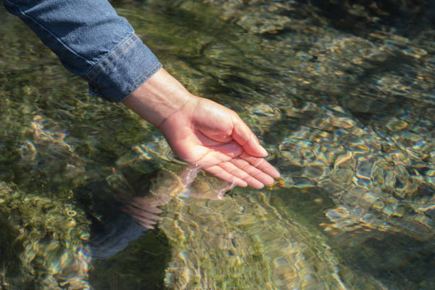 istock water with hand in pond 909353646