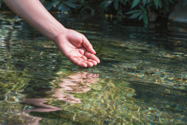 istock water with hand in pond 909353746