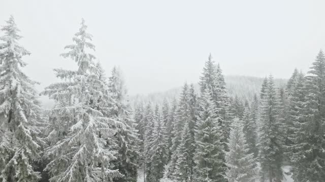 Drone flying through snow covered forest