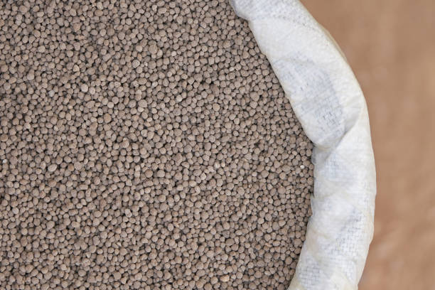 istock 18-46-0 , Diammonium phosphate (DAP) fertilizers in fertilizer bag. 909361012
