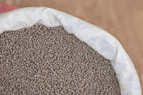 istock 18-46-0 , Diammonium phosphate (DAP) fertilizers in fertilizer bag. 909361014