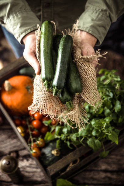 istock Organic vegetables on wood 909363594