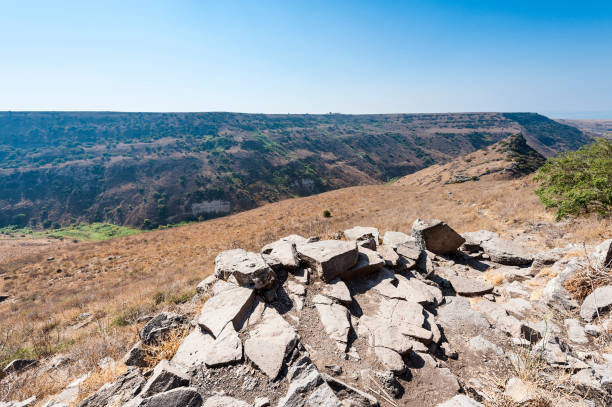 istock Gamla nature reserve in Israel 909364000