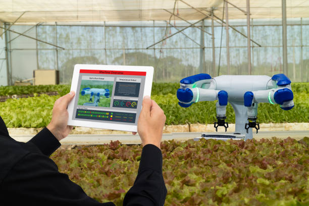 istock iot smart industry robot 4.0 agriculture concept,industrial agronomist,farmer using software Artificial intelligence technology in tablet to monitoring condition and control automatic robotics in farm 909367516