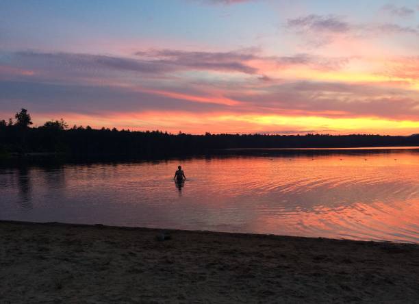 スイマーは湖で夜間の水泳中に色鮮やかな夕焼けを楽しんでいます - lake sunset lake dusk water ストックフォトと画像