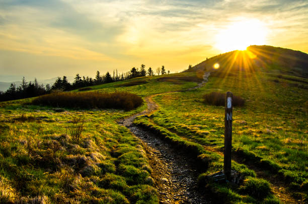 istock Sunrise Along Jane Bald 909370688