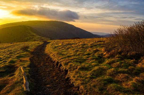 istock Sunrise Along the Appalachian Trail at Jane Bald 909370978