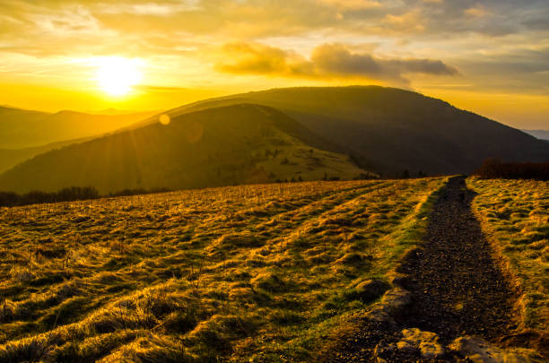 istock Sunrise Along the Appalachian Trail at Jane Bald 909371026