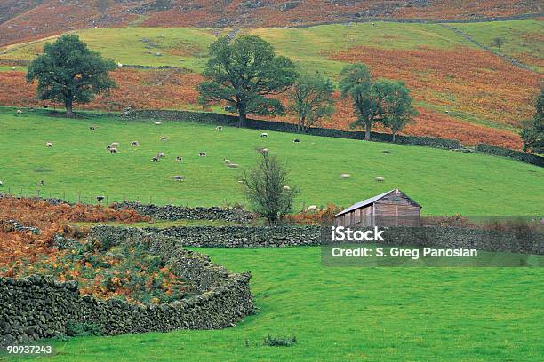 Ländliche England Stockfoto und mehr Bilder von Anhöhe - Anhöhe, Britische Kultur, Cumbria