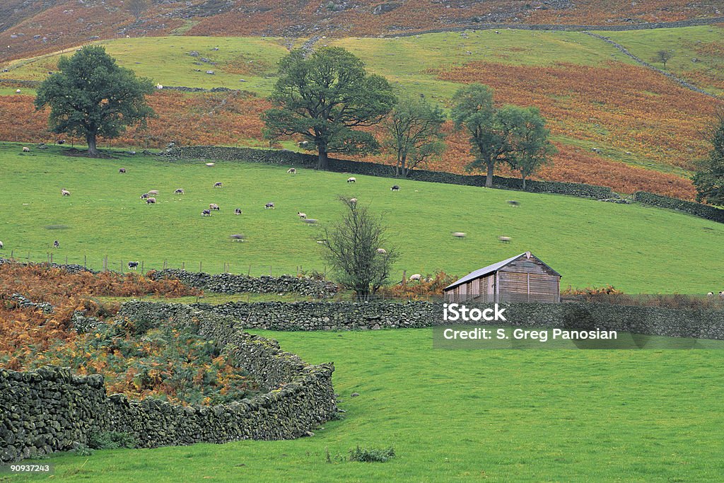 Rural, Inglaterra - Royalty-free Agricultura Foto de stock