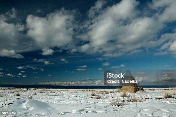 White Plains Покрытые Снегом — стоковые фотографии и другие картинки Greenpeace - Greenpeace, Бунтарство, В ряд