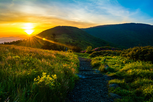 Sunrise out from Jane Bald along the Appalachian Trail in the Roan Highlands.