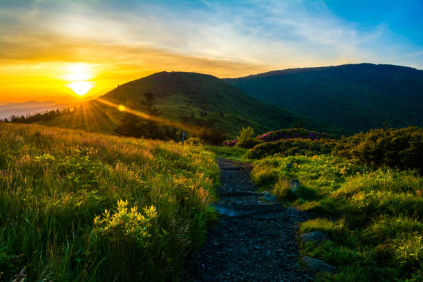 sunrise along the appalachian trail in the roan highlands - blue ridge mountains appalachian mountains sunrise mountain imagens e fotografias de stock