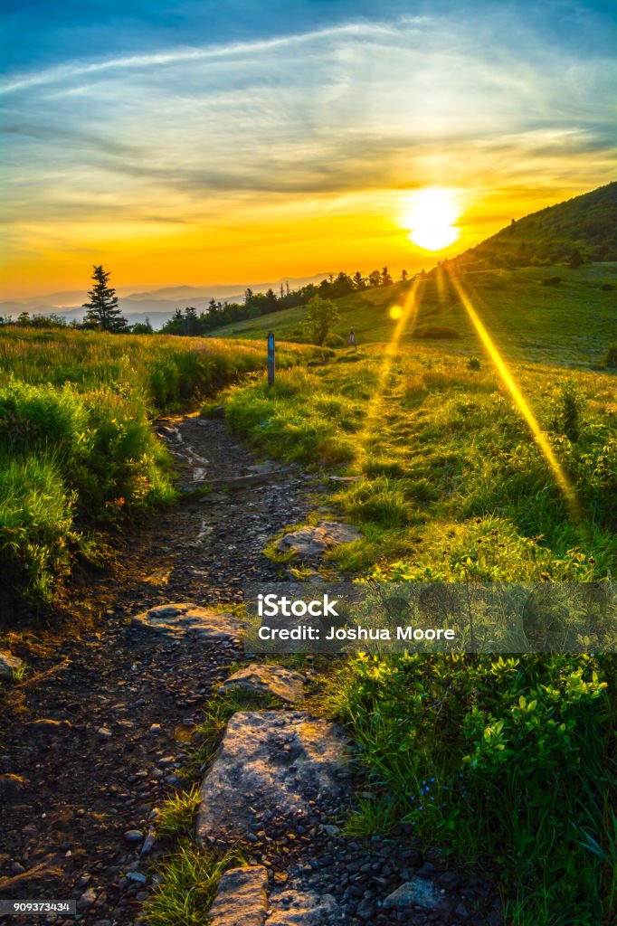 Sunrise Along the Appalachian Trail in the Roan Highlands Sunrise out from Jane Bald along the Appalachian Trail in the Roan Highlands. Appalachian Trail Stock Photo