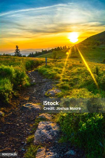 Sunrise Along The Appalachian Trail In The Roan Highlands Stock Photo - Download Image Now