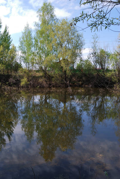 istock Small pond, Omsk region, Russia 909374618