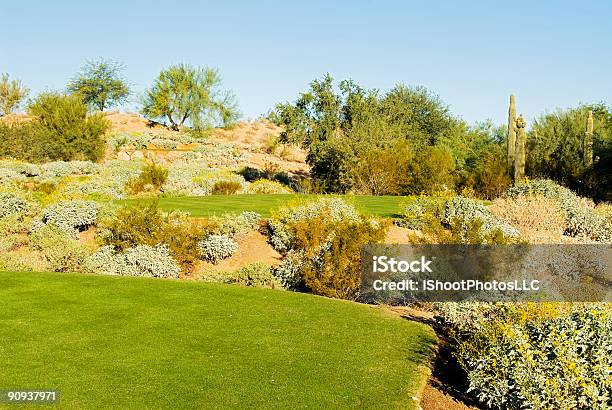 Arizona De Golfe - Fotografias de stock e mais imagens de Arizona - Arizona, Campo de Golfe, Cato