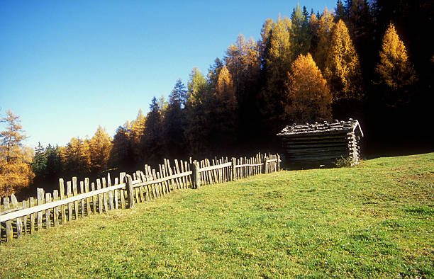 Autumn hay hut stock photo