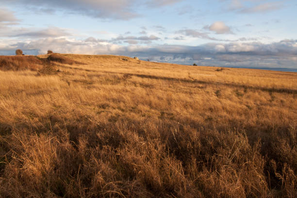 istock San Juan Island 909381726