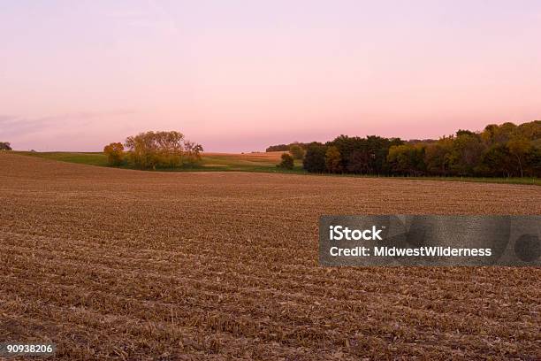 Gospodarstwo Pole - zdjęcia stockowe i więcej obrazów Pole - Pole, Ziemia, Bez ludzi