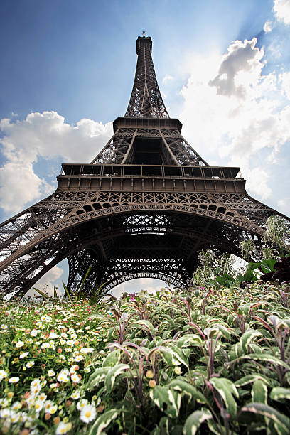 istock eiffel tower paris france 90938524