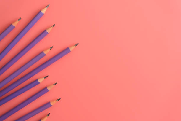istock purple penceils on pink background with copy space. Back to school and Education Concept. 909385532