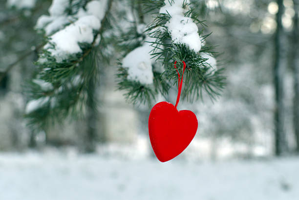 istock christmas theme with pine and heart 90938751