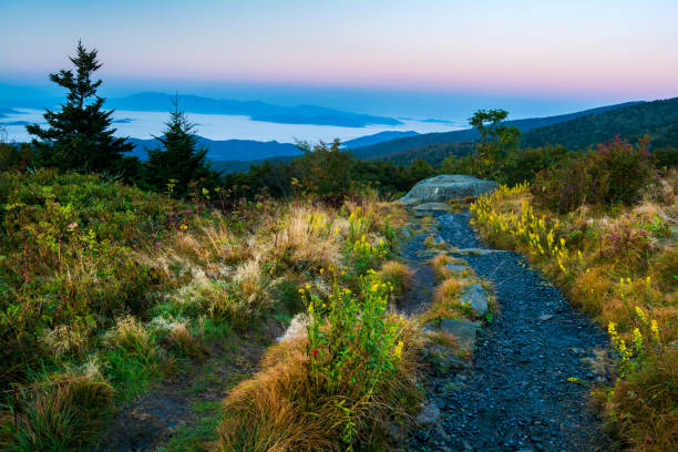 Autumn color along the Appalachian Trail in the Roan Highlands.