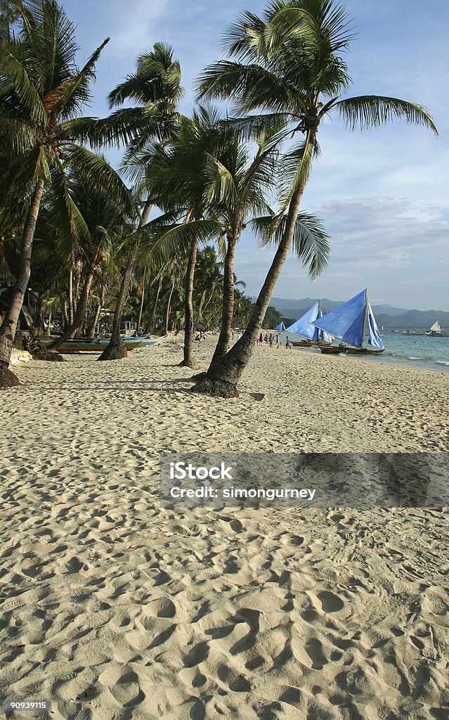 Isola di boracay spiaggia palme sabbia bianca - Foto stock royalty-free di Abbronzarsi