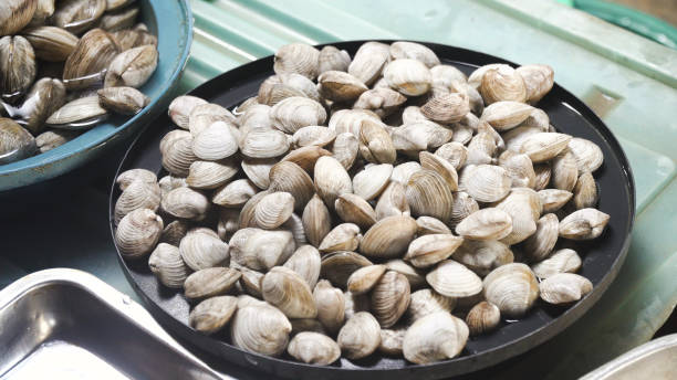 istock Clams in Asian market 909392384