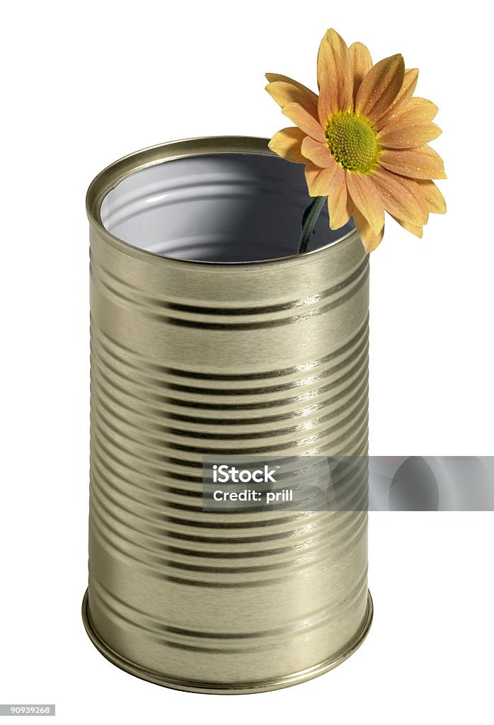 tin can e flores - Foto de stock de Aço royalty-free