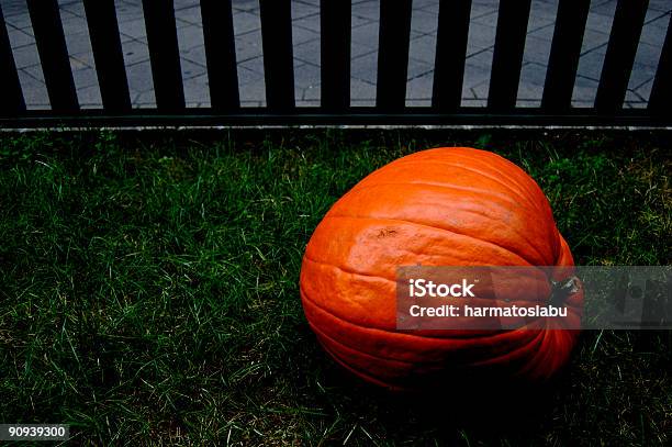 Pumpkin Stock Photo - Download Image Now - Color Image, Cultivated, Food