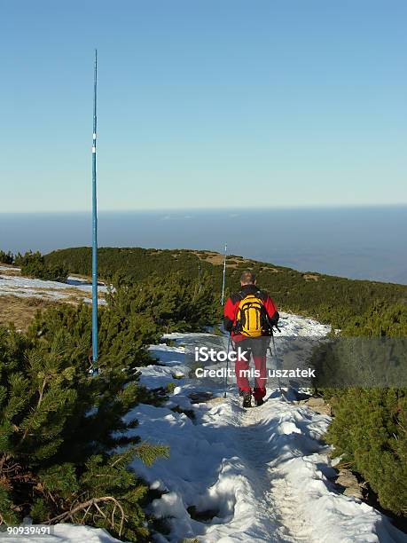 스키어 겨울에 대한 스톡 사진 및 기타 이미지 - 겨울, 공휴일, 기둥