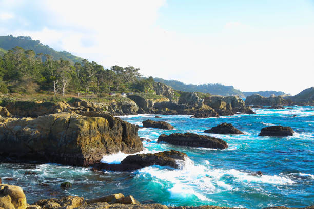 надежная береговая линия кармель калифорния - point lobos state reserve big sur california beach стоковые фото и изображения