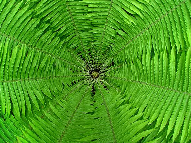 Russia, Abstract, Backgrounds, Beauty In Nature