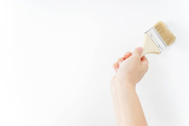 Repair, brush, roller, paint, pallet, paint walls, repair work, painter, work, construction, during repair