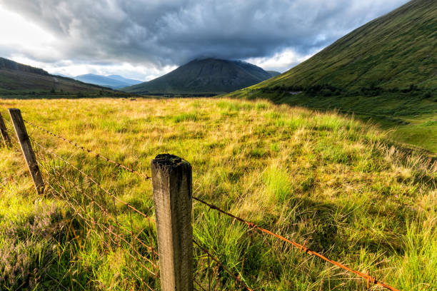 Fencepost with Beinn Dorain and Beinn Odhar in the distance.