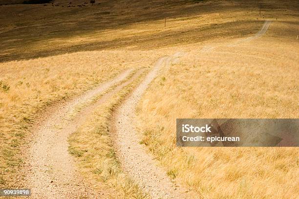 Rua Dourada - Fotografias de stock e mais imagens de Ao Ar Livre - Ao Ar Livre, Cena Rural, Dourado - Cores