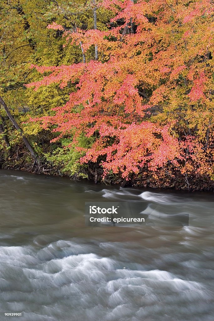 Otoño de los Apalaches - Foto de stock de Agua libre de derechos