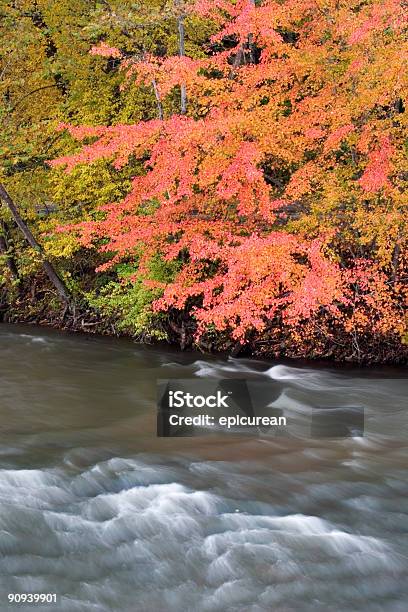 Otoño De Los Apalaches Foto de stock y más banco de imágenes de Agua - Agua, Aire libre, Arce