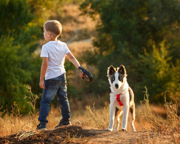 ein kleiner junge ist mit einem hund spazieren. - dog walking child little boys stock-fotos und bilder